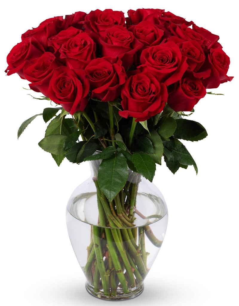 Benchmark Bouquets - 24 Stem Red Roses (Glass Vase Included) - Fresh Flowers for Next Day Delivery - Gift for Birthday, Anniversary, Get Well, Sympathy, Congratulations, Valentine's Day - Image 1